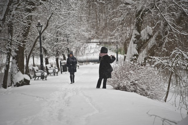 Tak dwa lata temu w śnieżnej szacie wyglądał koszaliński park.