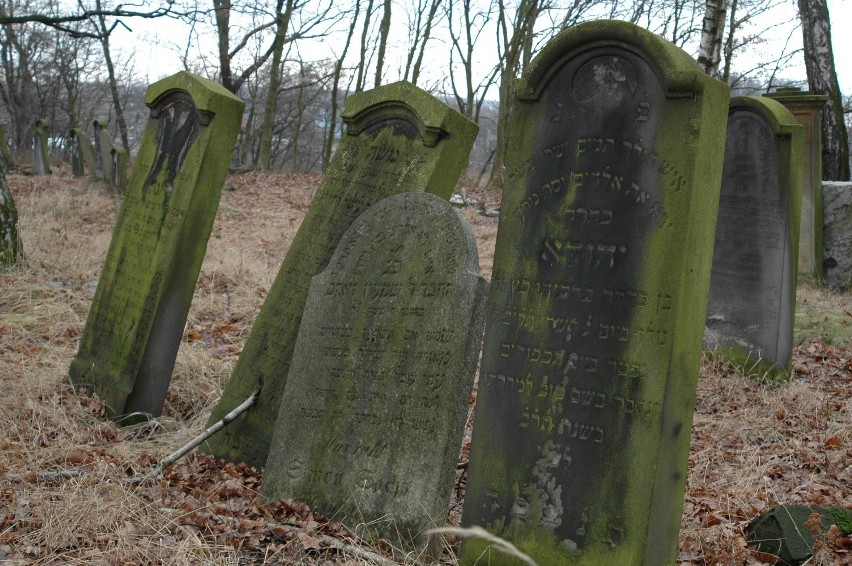 Kirkut, czyli cmentarz żydowski w Oleśnie