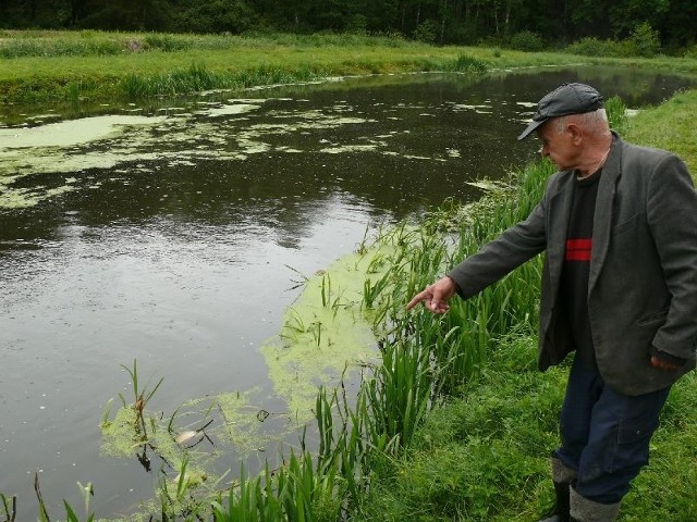 68-letni Paweł Bulski pokazuje zdechłe ryby w swoim stawie.