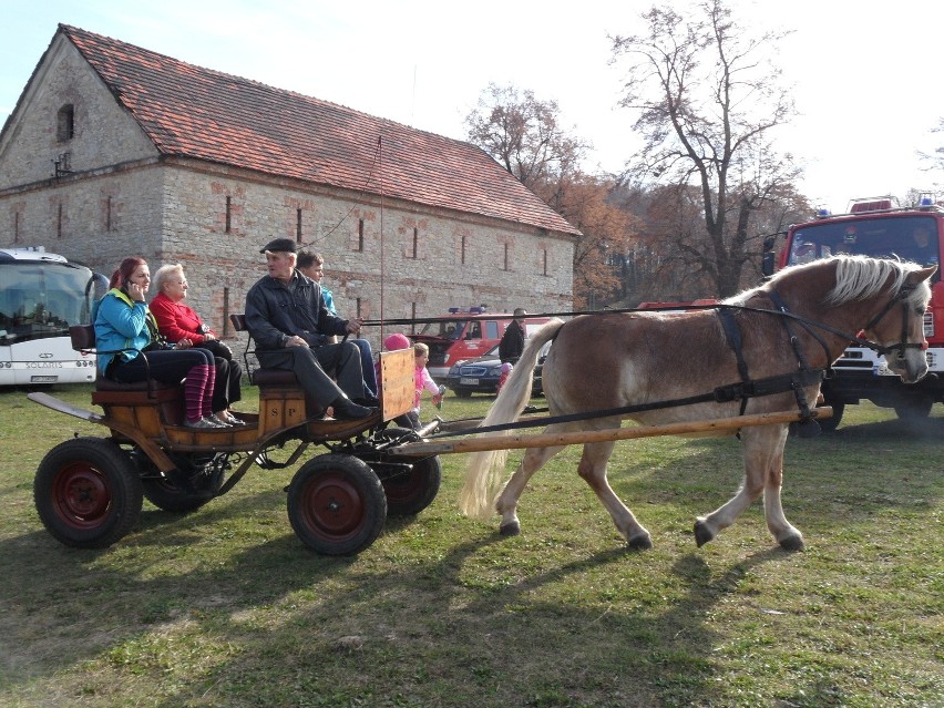 Hubertus w Mysłowicach