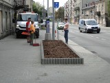 Mniej betonu w centrum Radomia. Przy ruchliwych ulicach pojawiły się gazony, niebawem będzie więcej zieleni. Zobaczcie zdjęcia