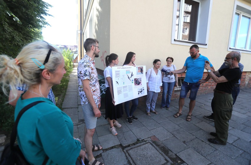 Protest ekologów na Niebuszewie. Bronią jerzyków [ZDJĘCIA]