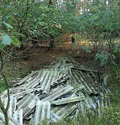 Choć gmina finansuje zbiórkę azbestu i odpadów wielkogabarytowych wielu mieszkańców wywozi śmieci do lasu. Fot. Jacek Sypień