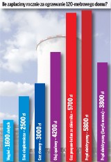 Zakaz palenia węglem w piecach: Ile to będzie nas kosztowało? [SZOKUJĄCE WNIOSKI]