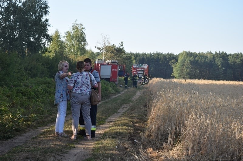 Pożar wysypiska śmieci w Mostkach koło Zduńskiej Woli