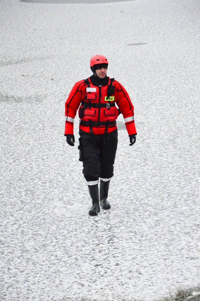 Ćwiczenia ratownicze w Kwidzynie 24.01.2019. Strażacy ćwiczyli na Balatonie ratowanie osoby, pod którą załamał się lód [zdjęcia] 