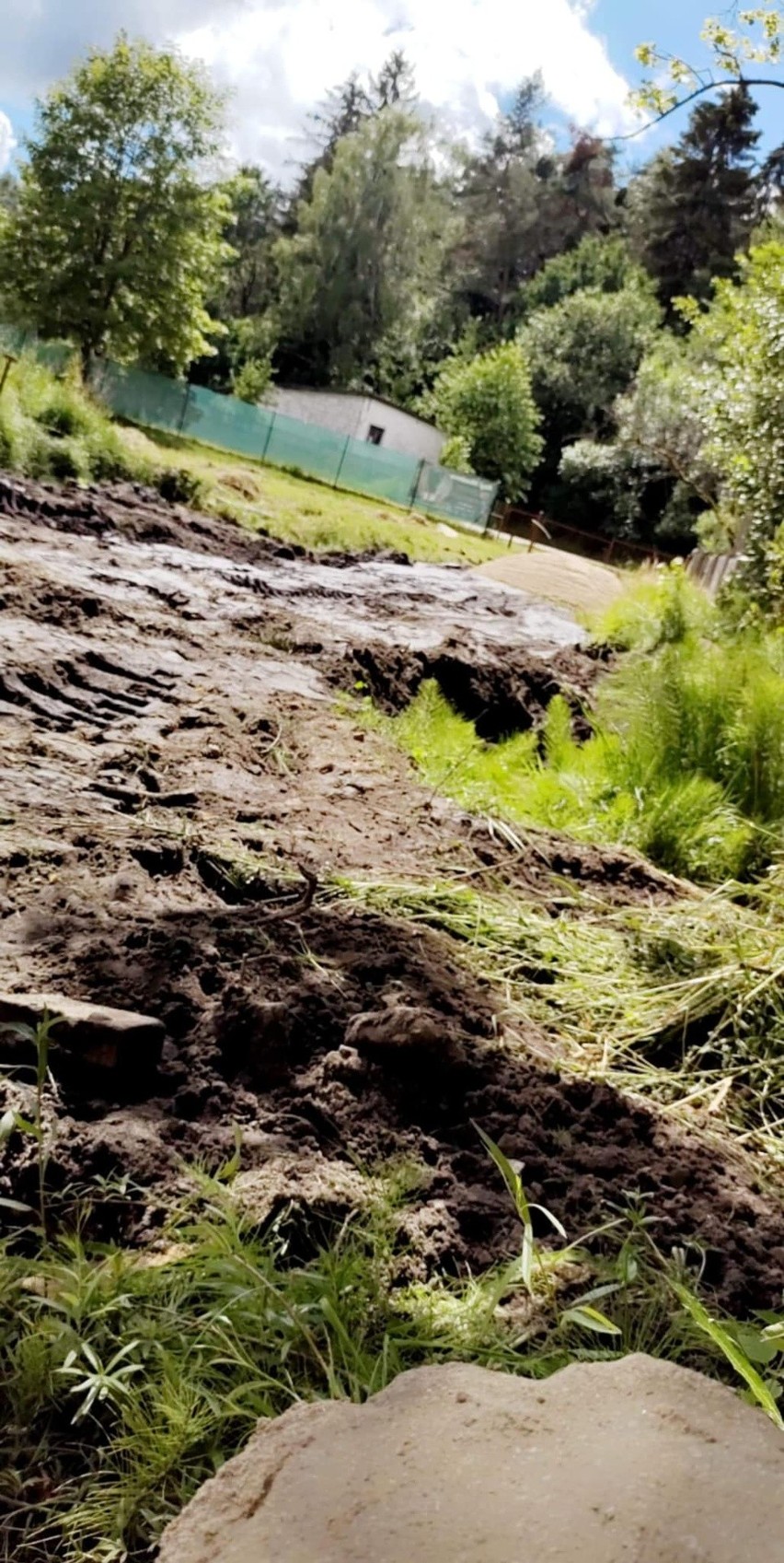 Azyl u Nikodema planuje wyprowadzkę z Miastka! Ponoć nie ma tu klimatu na pomaganie