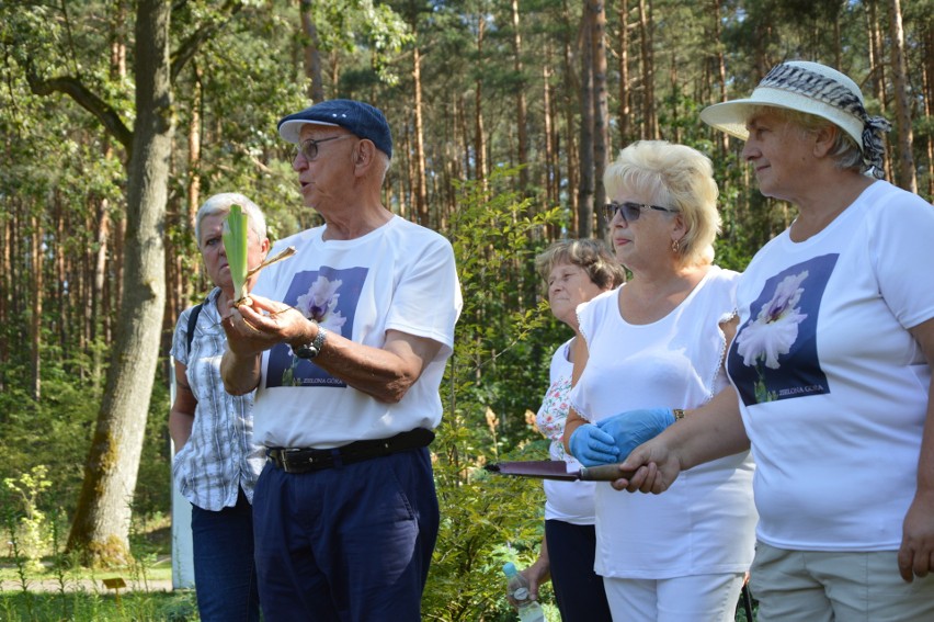 W ogrodzie botanicznym odbyło się sadzenie irysów z kolekcji...