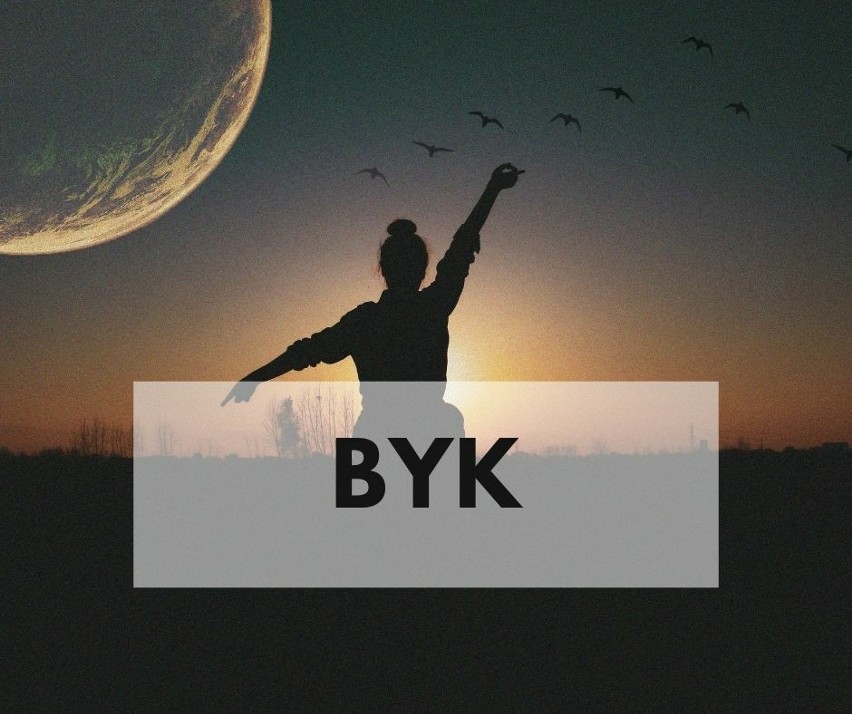 Byk (20.04-20.05)...