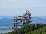 Najdłuższy wiszący most w Europie powstanie przy polskiej granicy. Nowa atrakcja w Czechach