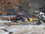 Wycinka drzew tuż przy Parku Śląskim. Mieszkańcy alarmują, a Park Śląski uspokaja, że to prace porządkowe pod budowę parkingu