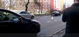 Łabędź spacerował ulicą w centrum Krakowa [ZDJĘCIA, WIDEO INTERNAUTY]