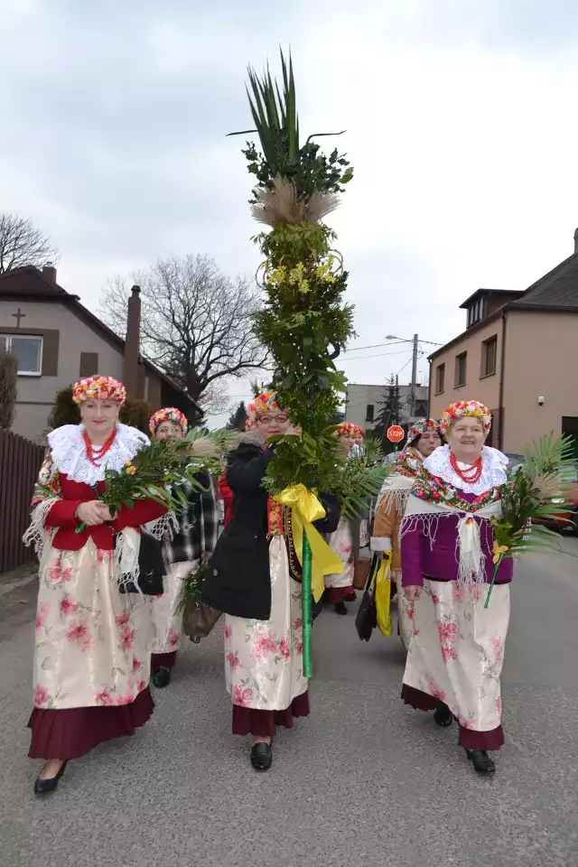 Piękne, ponad dwumetrowe palmy przygotowali mieszkańcy wszystkich sołectw Gorzyc