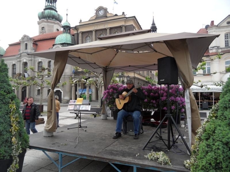 Daisy Days w Pszczynie: Ekspozycja ogrodów na rynku