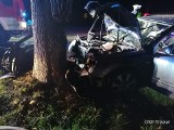 Śmiertelny wypadek w Trzcielu. Samochód osobowy uderzył w drzewo, jedna osoba zginęła na miejscu
