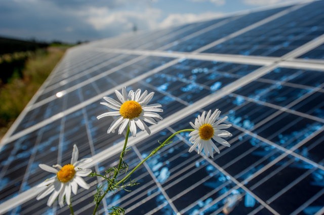 Największa w Polsce farma fotowoltaiczna Energi