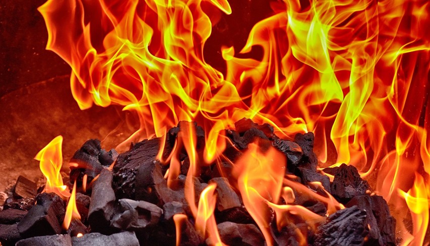 Seria podpaleń w lasach w bydgoskim Fordonie. Cztery pożary w 30 minut