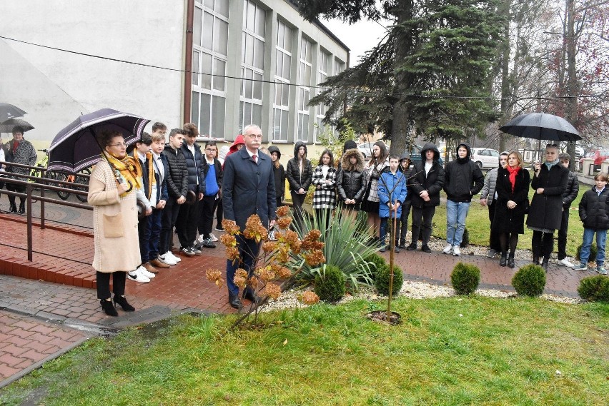 Narodowe Święto Niepodległości w gminie Masłów. Tak świętowano w szkołach. Zobacz zdjęcia