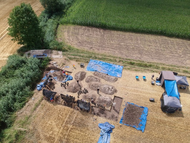 We Wrocławiu projektowi przewodzi profesor Maciej Trzciński. - Od kilku lat kształcimy ekspertów w tym zakresie. Archeologia sądowa zajmuje się właśnie tego typu badaniami.