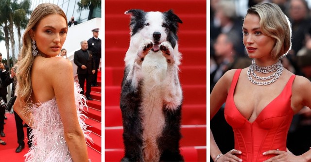 Rozpoczął się festiwal w Cannes! Piękne gwiazdy paradują po czerwonym dywanie!