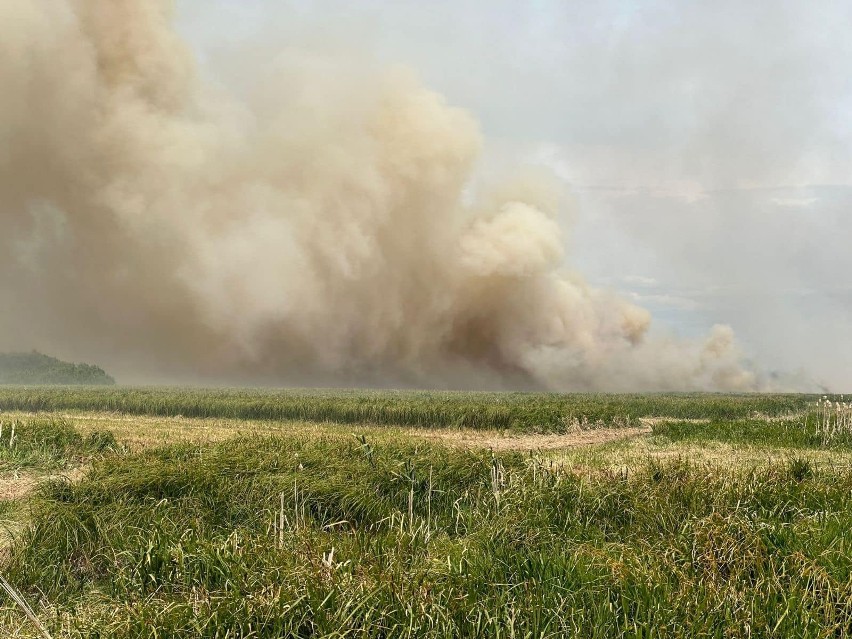 Samoloty gaśnicze w akcji. Wielki pożar w Biebrzańskim Parku Narodowym - WIDEO