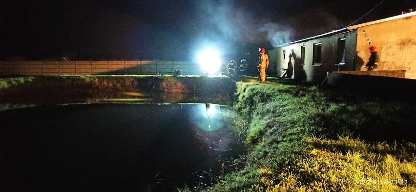 Pożar na fermie drobiu w Żarówce koło Mielca. Zginęło około siedem tysięcy indyków 