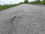 Nowa ścieżka rowerowa szlakiem ciuchci Paulinki pęka pół roku po budowie [WIDEO]