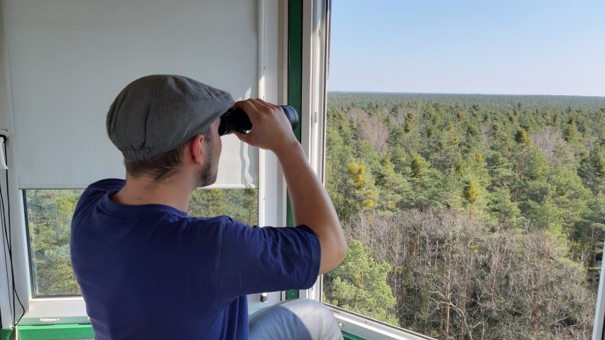 Tułowickie lasy mają ponad 17 tys. ha powierzchni, a nad ich...