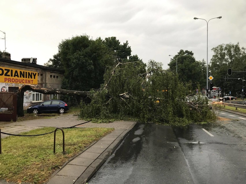 Burza w Łodzi. Nawałnica nad Łodzią. Powalone drzewa, gałęzie na drogach, zalane ulice [ZDJĘCIA]