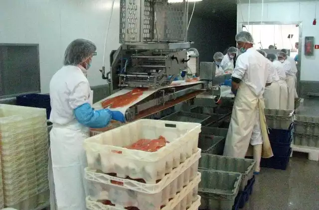 Przetwórnia ryb w Kukini zatrudnia pok. 200 osób, ale szuka kolejnych 200. Docelowo ma zatrudniać 500. Większość przy pracy fizycznej, w nowoczesnym zakładzie, który mimo planów likwidacji, ocalał.  