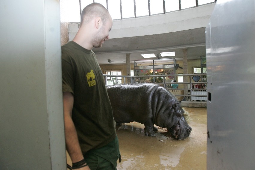 Śląski Ogród Zoologiczny od kuchni