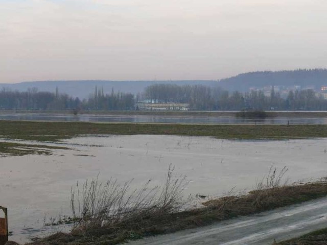 Nida już w poniedziałek po południu przekroczyła stan alarmowy na wodowskazie pod mostem w Pinczowie i zaczęła zalewać okoliczne łąki i pola uprawne.