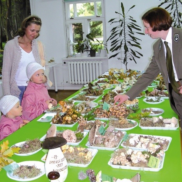 Na terenie Puszczy Białowieskiej występuje około 1500 gatunków grzybów wielkoowocnikowych. Można je było podziwiać minionego weekendu na wystawie w Ośrodku Edukacji Przyrodniczej BPN.