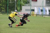 Futbol amerykański. Wilki Łódzkie - Seahawks Sopot [OGLĄDAJ NA ŻYWO]