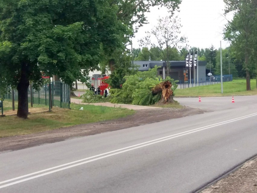 Burze w Podlaskiem niszczyły domy i powalały drzewa. Zdjęcie...