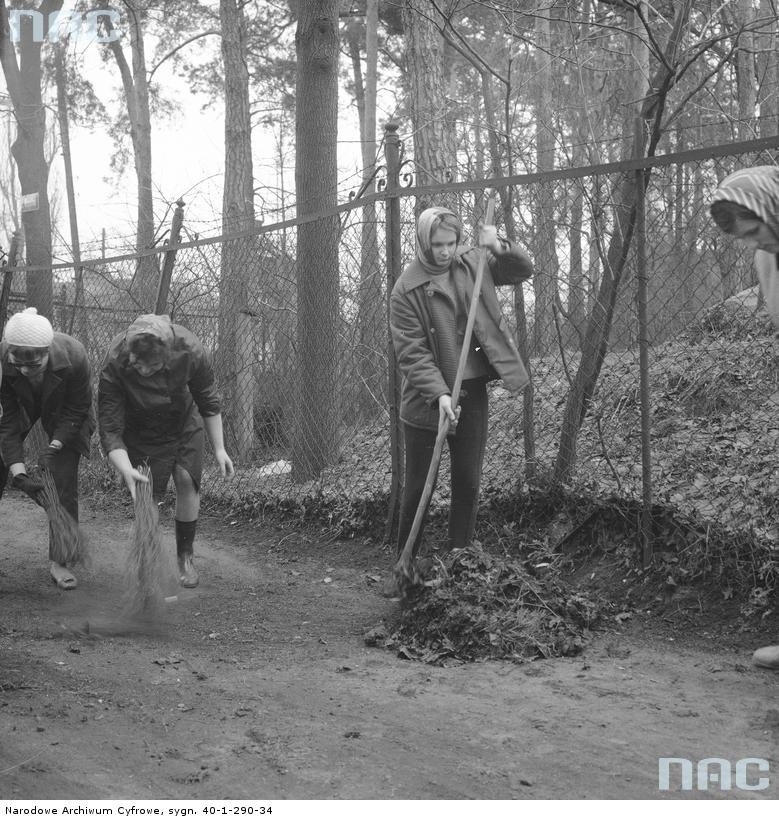 Z historii Lublina: Laba w szkołach, czyli uczniowie pracują w czynie społecznym