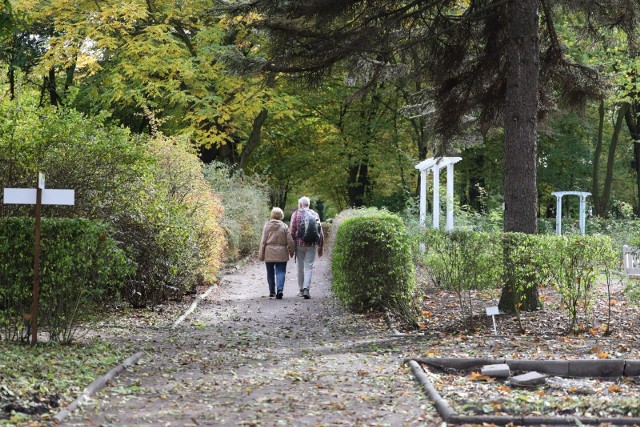 Miejski ogród botaniczny w Zabrzu jesienią
