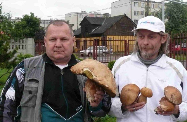 Janusz Adamczyk (z lewej) zbiera grzyby od wielu lat, ale takiego giganta znalazł po raz pierwszy.