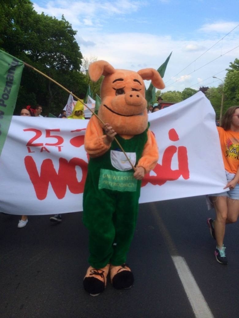 Juwenalia 2014 w Poznaniu: Wybieramy najlepsze przebranie!