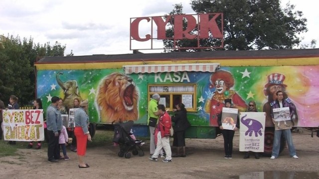 Ludzie, którzy kupowali bilety do cyrku, przechodzili obok aktywistów BASTY! raczej obojętnie. - Współczujemy zwierzętom, ale to fajna atrakcja dla dzieci - mówili.