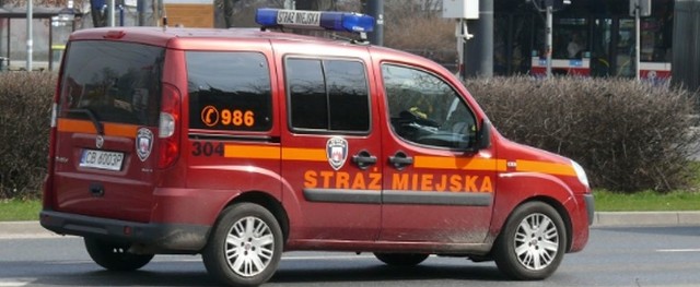 Strażnicy miejscy patrolujący okolice ulicy Toruńskiej i pobliskiej zajezdni tramwajowej zauważyli leżącą na poboczu kobietę Okazało się, że była ranna. Wcześniej została potrącona przez samochód.