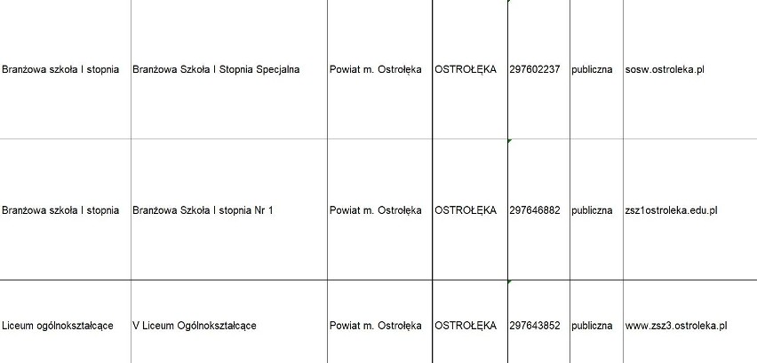 Rekrutacja do szkół średnich 2019. Terminy, wykaz szkół: Ostrołęka, powiaty: ostrołęcki, makowski, ostrowski. Ciekawe kierunki w szkołach