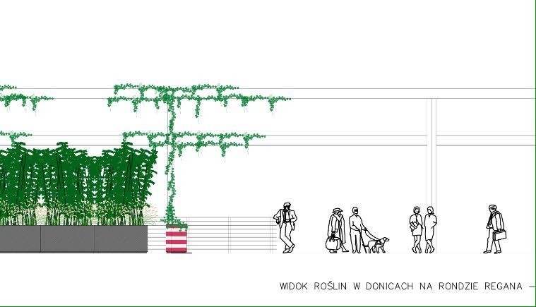 Rondo Reagana przykryje zieleń. Szare konstrukcje przystanku zmienią się w pergolę (ZOBACZ)