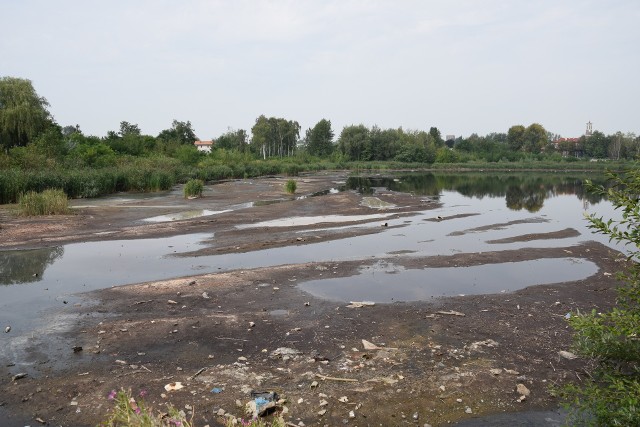 Zanieczyszczony chemikaliami staw Kalina w Świętochłowicach