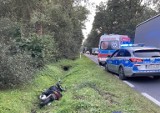 Wypadek na drodze krajowej numer 79. Ranny motocyklista