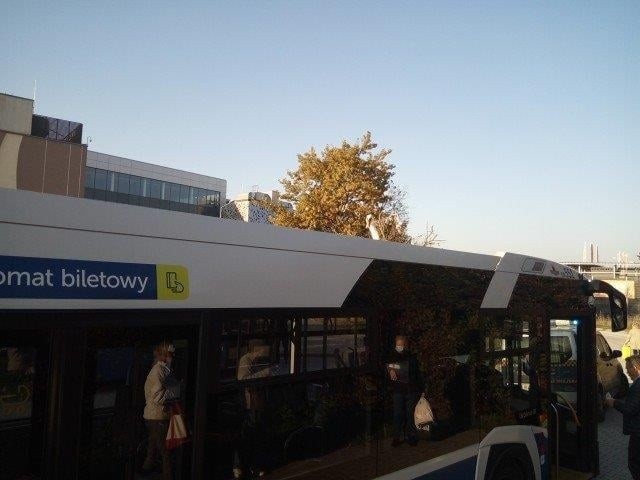 Kraków. Łabędź podróżował na gapę autobusem. Interweniowała straż miejska 
