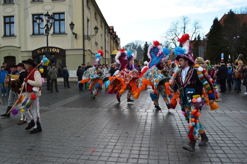 Żywieckie Gody 2016