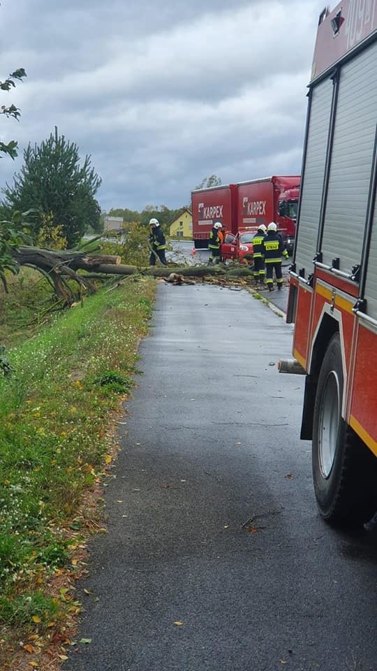 665 interwencji strażaków na Dolnym Śląsku [ZDJĘCIA]