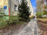 Wciąż trwają remonty kolejnych chodników w Łodzi. Stare płyty zastępowane są nowymi lub kostką. Zobacz, gdzie pojawią się robotnicy