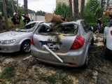 Kilkanaście aut zniszczonych po burzy w miejscowości Wieniec Zdrój [zdjęcia]